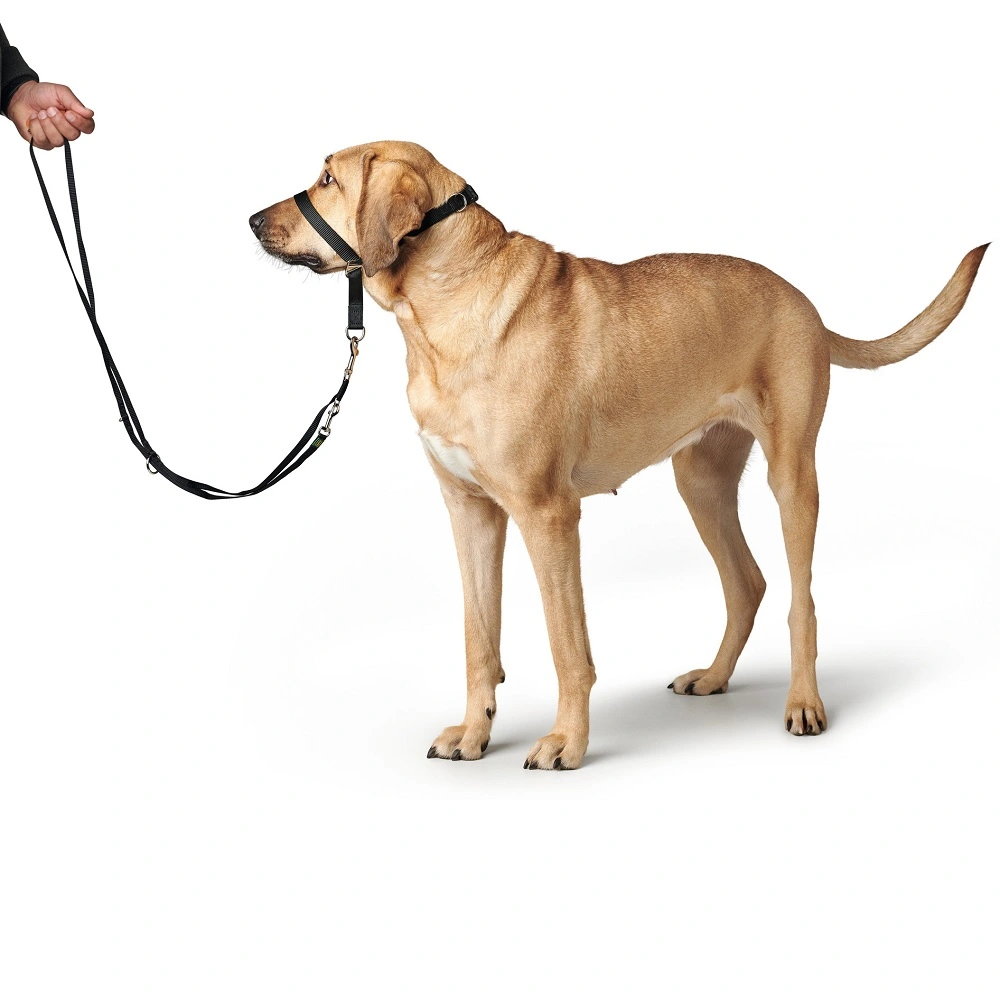 Hunter Follow Me snudesele til hund str L